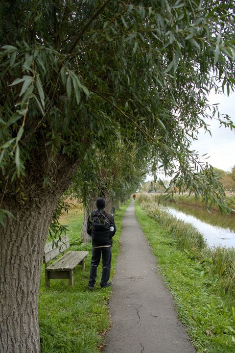 DSC 1282