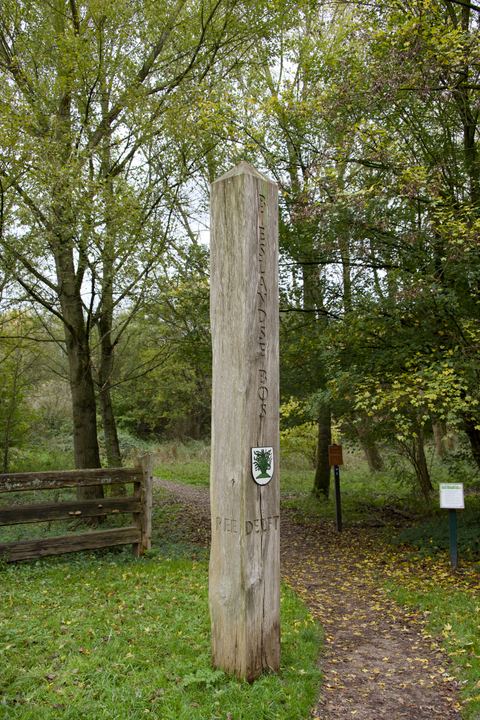 DSC 1325