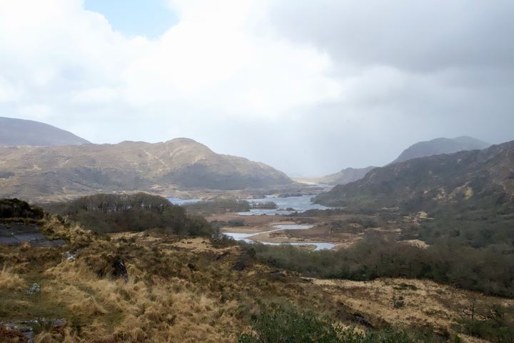 DSC 2722